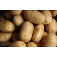 potatoes